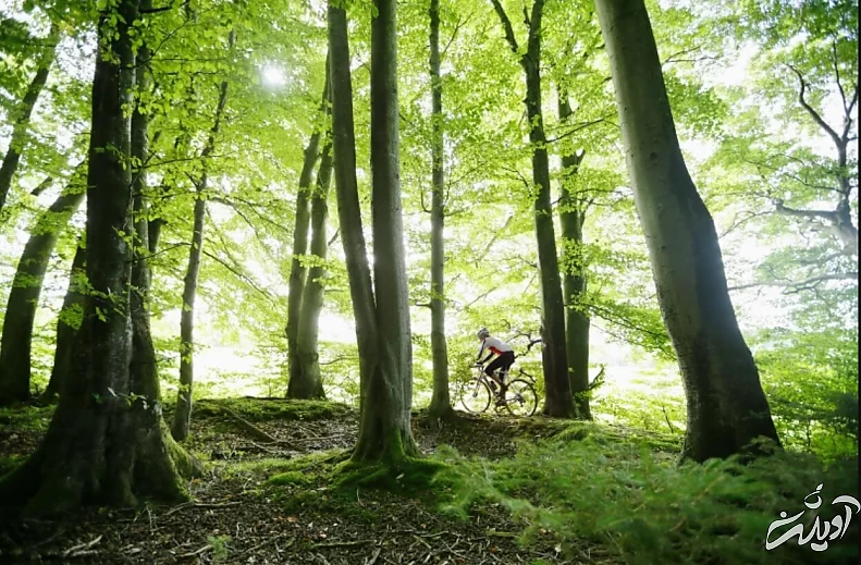 پیشگیری از سرطان و فشار خون؛ به این توصیهها درست عمل کنید!